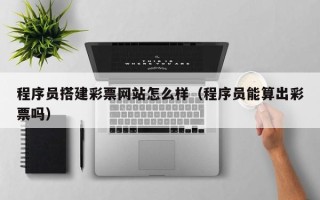 新野程序员搭建彩票网站怎么样（程序员能算出彩票吗）