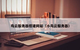 新野鸟云服务器搭建网站（小鸟云服务器）