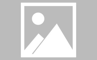 新野搭建网站招聘信息（网站制作 招聘）